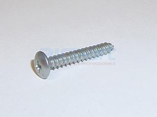 419-939 Screw Shmt Ty A Trus Hd Cad Pl