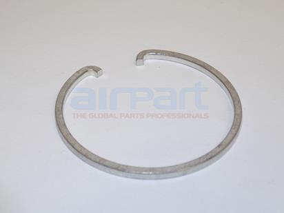 484-751 Ring Mlg Retainer