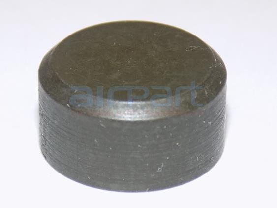 62388 Cap-Valve Stem