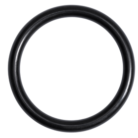 630979-9 Oring - Ptfe