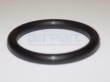 74068 Ring-Oil Level Gage Plug