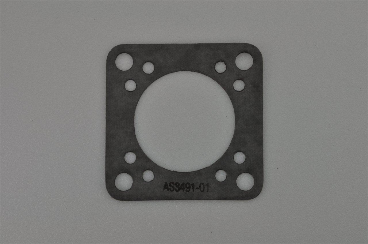 AS3491-01 Gasket, Vacuum Pump