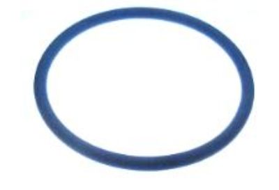 CA457-98 Fuel Cap Seal