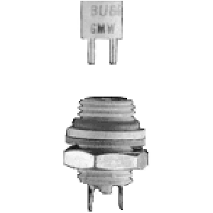 GMW1 Fuse 1A