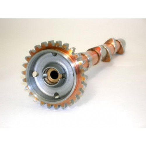 LW18840 Camshaft Assy